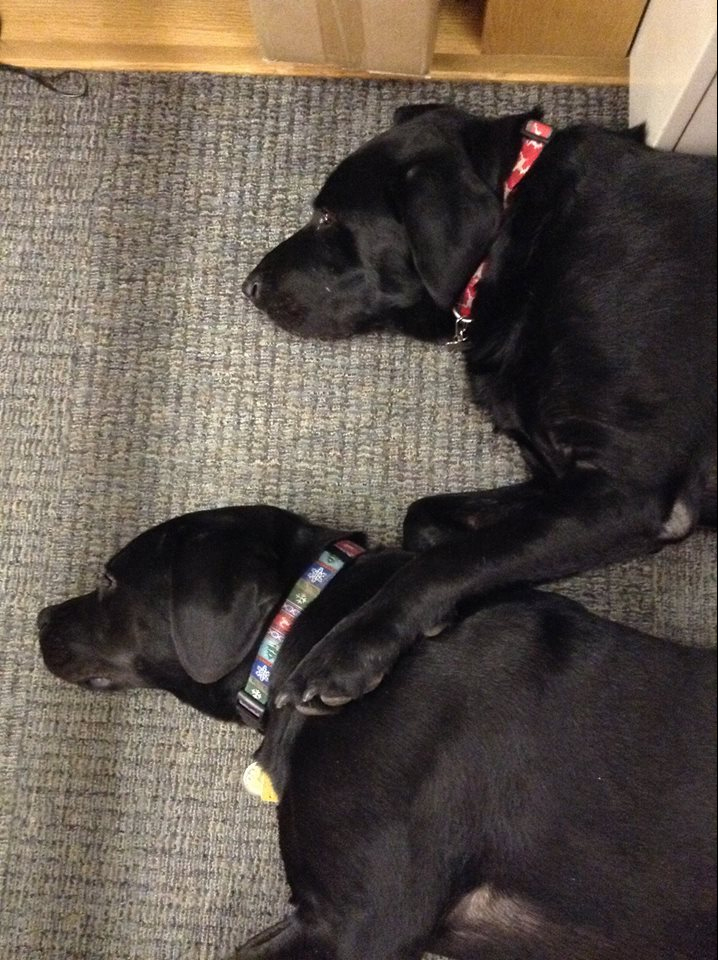George and Molly
